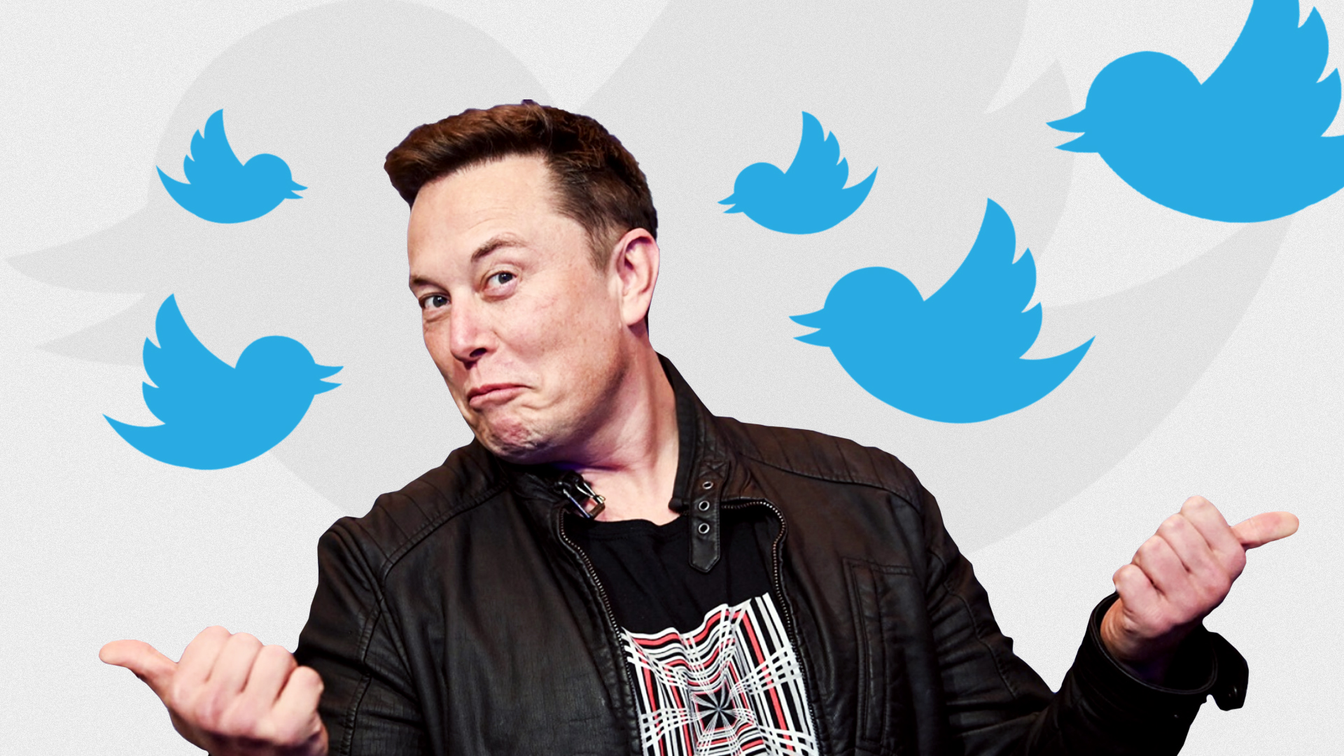 Elon Musk si compra Twitter per 44 miliardi di dollari